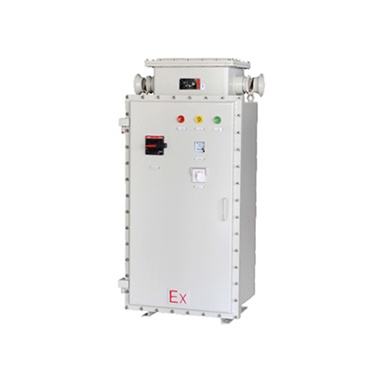 BQXB防爆變頻器 (IIB、 tD)